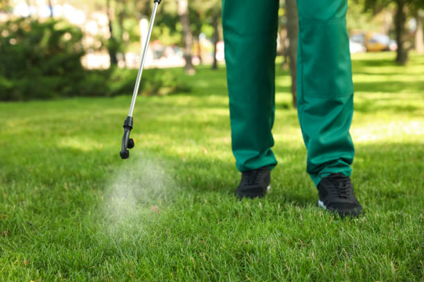 Best Local Pest Control Services  in Thorndale, TX