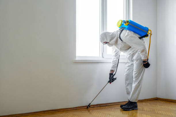 Best Affordable Pest Control Services  in Thorndale, TX