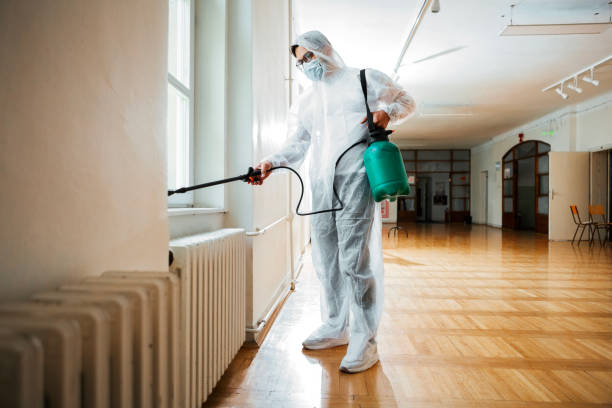 Reliable Thorndale, TX Pest Control Solutions