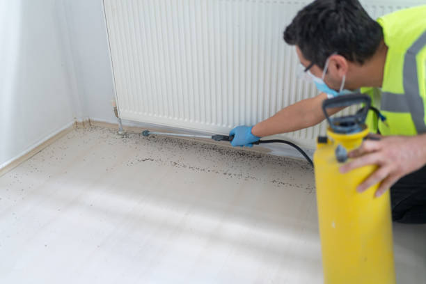 Best Pest Control Near Me in Thorndale, TX